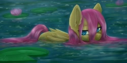 Size: 4096x2055 | Tagged: safe, artist:evlass, derpibooru import, fluttershy, pegasus, pony, colored pupils, cute, ear fluff, female, flower, lilypad, looking at you, mare, partially submerged, shyabetes, solo, water, wet mane