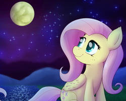 Size: 1200x960 | Tagged: safe, artist:empyu, derpibooru import, fluttershy, pegasus, pony, cute, digital art, female, folded wings, full moon, looking at something, looking away, looking back, looking up, mare, moon, night, outdoors, shyabetes, sitting, smiling, solo, stars, wings