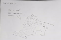 Size: 2040x1364 | Tagged: safe, artist:sketchwork_gd_inuk, sandbar, earth pony, pony, colt, descriptive noise, dialogue, male, palindrome get, pun, solo, traditional art, wrapping paper, younger