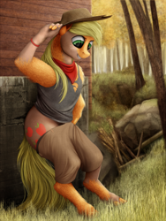 Size: 750x1000 | Tagged: safe, artist:geoffrey mcdermott, applejack, earth pony, pony, bandana, clothes, cowboy hat, female, forest, hairband, hat, human to pony, pants, shirt, solo, transformation