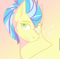 Size: 1071x1060 | Tagged: safe, artist:mr_fancyhat, misty fly, pegasus, pony, abstract background, bust, female, mare, smiling, solo