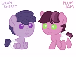 Size: 4000x3000 | Tagged: safe, oc, oc:grape sorbet, oc:plum jam, earth pony, pony, baby, colt, diaper, female, filly, foal, grape, male, plum, solo, young