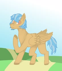 Size: 1544x1773 | Tagged: safe, artist:biglama, oc, pegasus, looking at you, raised hoof, raised leg, solo, wings