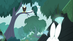 Size: 1920x1080 | Tagged: safe, derpibooru import, screencap, angel bunny, fluttershy, bald eagle, bird, eagle, she talks to angel, body swap, everfree forest, glowing mushroom, mushroom, perching, shelf mushroom, sitting in a tree, tree