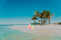 Size: 1920x1280 | Tagged: safe, artist:angello pro, artist:draikjack, lily, lily valley, earth pony, pony, beach, bedroom eyes, coast, female, flower, flower in hair, honduras, irl, island, lily (flower), mare, photo, ponies in real life, raised hoof, solo, wet mane