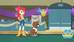 Size: 1200x676 | Tagged: safe, screencap, apple bloom, cranky doodle donkey, winona, dog, best in show: the victory lap, better together, equestria girls, animated, apple bloom's bow, balloon, boots, bow, clothes, collar, cropped, cup, dog collar, door, fluffersnuff, gif, hair bow, hand on hip, jeans, leaning, looking at each other, pants, pet, petting, shirt, shoes, short pants, smiling, sweater, table, walking