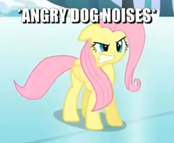 Size: 720x590 | Tagged: safe, derpibooru import, edit, edited screencap, screencap, fluttershy, pegasus, pony, keep calm and flutter on, behaving like a dog, caption, cropped, descriptive noise, female, growling, image macro, mare, solo, text