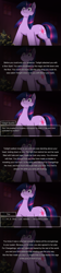 Size: 800x3600 | Tagged: safe, artist:vavacung, derpibooru import, twilight sparkle, changeling, pony, unicorn, series:an unexpected love life of little changeling, comic, female, male