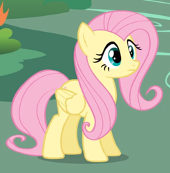 Size: 900x916 | Tagged: safe, derpibooru import, screencap, fluttershy, pegasus, pony, it's about time, cropped, female, mare, solo