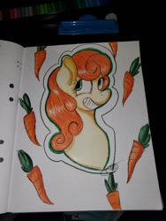 Size: 756x1008 | Tagged: safe, artist:thebriarrosegarden, carrot top, golden harvest, pony, bust, portrait, traditional art