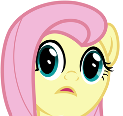 Size: 4500x4254 | Tagged: safe, derpibooru import, fluttershy, pegasus, pony, absurd resolution, bust, cute, cute face, eye, eyes, face, looking at you, mane, portrait, shy, shyabetes, simple background, solo, surprised face, white background