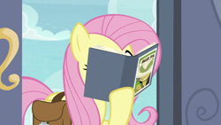 Size: 1920x1080 | Tagged: safe, derpibooru import, screencap, daring do, fluttershy, pegasus, pony, daring doubt, bag, book, holding, reading, saddle bag