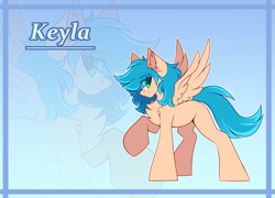 Size: 5555x4000 | Tagged: safe, artist:airiniblock, oc, oc only, oc:keyla, pegasus, commission, pegasus oc, rcf community, reference sheet, solo, wings, zoom layer