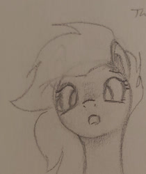 Size: 839x1001 | Tagged: safe, artist:swegmeiser, oc, pony, haha look at this fuckin nerd, monochrome, solo, traditional art