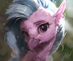 Size: 1080x900 | Tagged: safe, artist:assasinmonkey, silverstream, classical hippogriff, hippogriff, beautiful, bust, female, fluffy, looking at you, portrait, solo