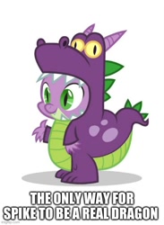 Size: 500x684 | Tagged: safe, spike, dragon, luna eclipsed, abuse, clothes, costume, dragon costume, op is a cuck, op is trying to start shit, op is trying too hard, simple background, solo, spikeabuse, white background