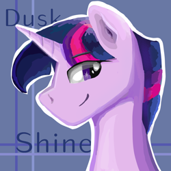 Size: 1024x1024 | Tagged: safe, artist:wimple, dusk shine, twilight sparkle, head, male, rule 63, solo