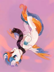 Size: 1500x2000 | Tagged: safe, artist:raily, derpibooru import, pegasus, pony, sky