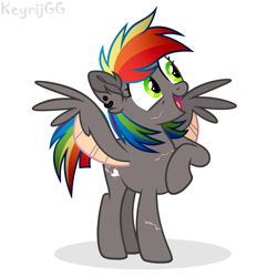 Size: 2500x2500 | Tagged: safe, artist:keyrijgg, oc, oc:keyr, pegasus, pony, art, rainbow, show accurate, simple background, white background, wings