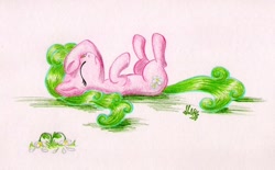 Size: 1280x796 | Tagged: safe, artist:wolfinka84, daisy, flower wishes, earth pony, pony, atg 2020, eyes closed, female, mare, newbie artist training grounds, on back, solo, the horror, traditional art