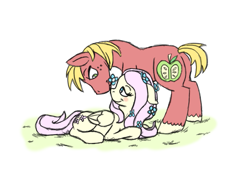 Size: 855x592 | Tagged: safe, artist:koopakrazy85, derpibooru import, edit, big macintosh, fluttershy, earth pony, pegasus, pony, bedroom eyes, blushing, cropped, female, flower, flower in hair, fluttermac, looking at each other, male, mare, prone, shipping, simple background, stallion, straight, white background