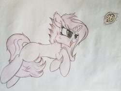 Size: 2016x1512 | Tagged: safe, artist:straighttothepointstudio, edit, oc, oc only, oc:fluorescia harvest, pony, unicorn, adorable face, blank flank, colored, cookie, cute, female, filly, fluffy, food, freckles, happy, long hair, long mane, long tail, solo, traditional art