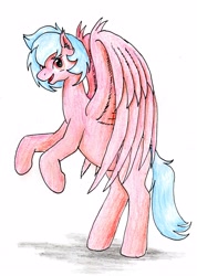 Size: 2019x2828 | Tagged: safe, artist:40kponyguy, derpibooru exclusive, oc, oc only, oc:sam, pegasus, male, rearing, requested art, simple background, solo, spread wings, stallion, traditional art, wings