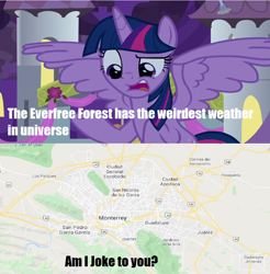 Size: 968x984 | Tagged: safe, derpibooru import, edit, edited screencap, screencap, twilight sparkle, twilight sparkle (alicorn), alicorn, the summer sun setback, caption, meme, monterrey, solo