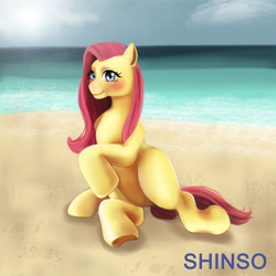 Size: 1280x1280 | Tagged: safe, artist:shinso, derpibooru import, fluttershy, pegasus, pony, anatomically incorrect, beach, incorrect leg anatomy, ocean, solo