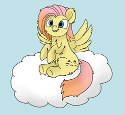Size: 1903x1759 | Tagged: safe, artist:barpy, oc, oc only, oc:barpy, pegasus, pony, cloud, cute, excited, happy, looking at you, male, not fluttershy, raised hoof, simple background, sitting, smiling, solo, spread wings, wings