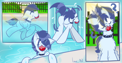 Size: 1738x895 | Tagged: safe, artist:angeline shine, oc, oc only, oc:slipstream, pegasus, ball, behaving like a dog, boofy, boofy is a good boy, comic, drying, fluffy, swimming, wet