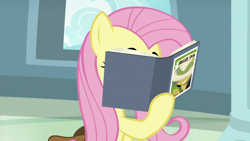 Size: 1920x1080 | Tagged: safe, derpibooru import, screencap, daring do, fluttershy, pegasus, pony, daring doubt, bag, book, reading, saddle bag, sitting