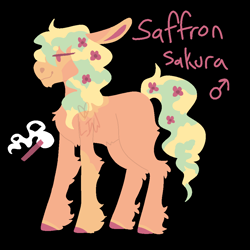 Size: 1000x1000 | Tagged: safe, artist:lepiswerid, oc, oc:saffron sakura, earth pony, pony, black background, colored hooves, cutie mark, flower, flower in hair, male, offspring, parent:tree hugger, parent:zephyr breeze, parents:zephyrhugger, simple background, solo