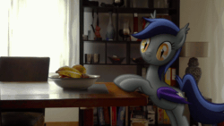 Size: 800x450 | Tagged: safe, artist:stormxf3, oc, oc only, oc:echo, bat pony, pony, animated, apple, banana, bat pony oc, cartoon physics, chair, female, food, gif, herbivore, hooves on the table, irl, mango, photo, plate, ponies in real life, solo, table, youtube link