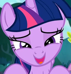 Size: 687x720 | Tagged: safe, derpibooru import, edit, screencap, twilight sparkle, twilight sparkle (alicorn), alicorn, she talks to angel, close-up, cropped, crouching, cute, lidded eyes, looking at you, offscreen character, open mouth, pov, twiabetes