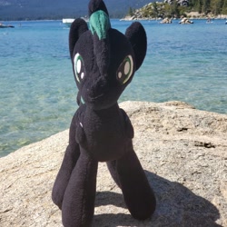 Size: 1440x1440 | Tagged: safe, oc, oc:brony t pony, pegasus, pony, beach, lake tahoe, male, photo, photography, plushie, scenery, solo