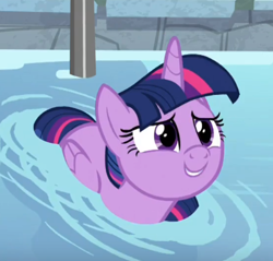 Size: 431x412 | Tagged: safe, derpibooru import, screencap, twilight sparkle, twilight sparkle (alicorn), alicorn, pony, spoiler:deep tissue memories, spoiler:mlp friendship is forever, cropped, cute, deep tissue memories, female, folded wings, mare, smiling, solo, swimming pool, twiabetes, twilight duckle, water, weapons-grade cute, wings