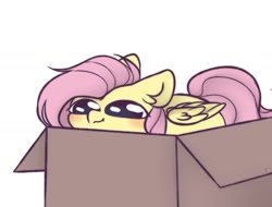 Size: 1280x975 | Tagged: safe, artist:mariashapony, derpibooru import, fluttershy, pegasus, pony, behaving like a cat, box, cute, ear fluff, female, if i fits i sits, mare, pony in a box, shyabetes, simple background, solo, white background