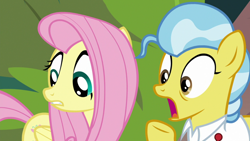 Size: 1920x1080 | Tagged: safe, derpibooru import, screencap, angel bunny, doctor fauna, fluttershy, pegasus, pony, she talks to angel, body swap, clothes, duo, female, mare, open mouth, shirt, shocked