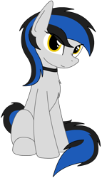 Size: 918x1604 | Tagged: safe, artist:rivet97, oc, oc:zima svechkar, earth pony, pony, simple background, solo, transparent background