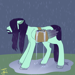 Size: 1280x1280 | Tagged: safe, artist:jitterbugjive, oc, oc:trot along, pegasus, bag, rain, saddle bag, tools