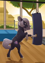 Size: 2480x3508 | Tagged: safe, artist:jackiebloom, oc, oc only, oc:upper crust, earth pony, pony, punching bag, solo