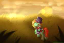 Size: 3000x2000 | Tagged: safe, artist:redheartponiesfan, oc, oc:lighting chaser, pegasus, pony, female, hat, mare, solo