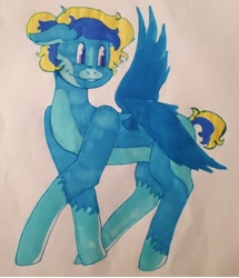 Size: 1080x1258 | Tagged: safe, artist:enusgabor, oc, oc only, oc:chester, pegasus, female, mare, pegasus oc, smiling, socks (coat marking), solo, traditional art, wings