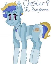 Size: 1066x1346 | Tagged: safe, artist:enusgabor, oc, oc only, oc:chester, pegasus, female, jewelry, mare, necklace, pegasus oc, simple background, smiling, socks (coat marking), solo, white background, wings