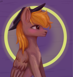 Size: 1625x1725 | Tagged: safe, artist:ske, oc, oc only, oc:calamity, pegasus, pony, fallout equestria, blushing, cowboy hat, dashite, fanfic, fanfic art, hat, male, profile, sitting, stallion, wings