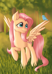 Size: 2893x4092 | Tagged: safe, artist:caulfieldsprice, derpibooru import, fluttershy, bird, pegasus, pony, animal, blue eyes, blushing, cheek fluff, chest fluff, cute, ear fluff, female, forest, grass, head turn, high res, long mane, long tail, looking at someone, looking up, mare, outdoors, raised hoof, shyabetes, sitting on wing, smiling, spread wings, sunlight, tree, wings