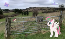 Size: 1280x770 | Tagged: safe, artist:90sigma, artist:heavyecho, artist:inuhoshi-to-darkpen, artist:ocarina0ftimelord, artist:s-class-destroyer, blossomforth, cloudchaser, rainbowshine, roseluck, gate, golf course, mountain, sign