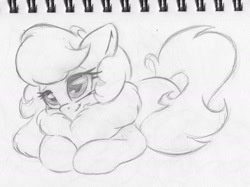 Size: 2007x1505 | Tagged: safe, artist:zemer, oc, oc only, oc:feather belle, pegasus, adorable face, chest fluff, cute, female, fluffy, lidded eyes, mare, monochrome, pencil drawing, prone, solo, traditional art
