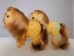 Size: 4032x3024 | Tagged: safe, butterscotch (g1), g1, comparison, irl, melocoton, photo, piggy pony, spain, toy, variant